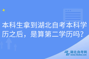 本科生拿到湖北自考本科学历之后，是算第二学历吗？