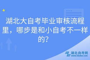 湖北大自考毕业审核流程里，哪步是和小自考不一样的？
