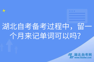 湖北自考备考过程中，留一个月来记单词可以吗？