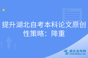 提升湖北自考本科论文原创性策略：降重