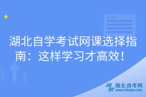 湖北自学考试网课选择指南：这样学习才高效！