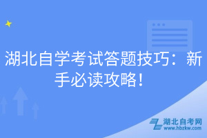 湖北自学考试答题技巧：新手必读攻略！