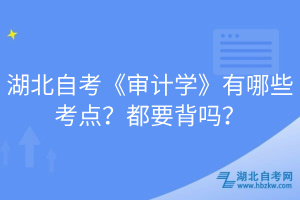 湖北自考《审计学》有哪些考点？都要背吗？