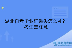 湖北自考毕业证丢失怎么补？考生需注意