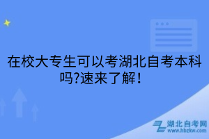 在校大专生可以考湖北自考本科吗?速来了解！