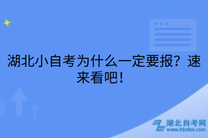 湖北小自考为什么一定要报？速来看吧！