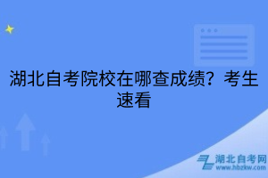 湖北自考院校在哪查成绩？考生速看