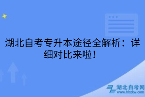 湖北自考专升本途径全解析：详细对比来啦！