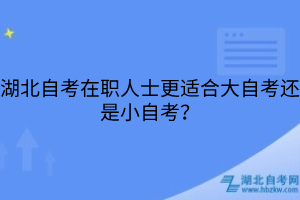 湖北自考在职人士更适合大自考还是小自考？