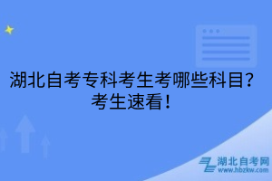 湖北自考专科考生考哪些科目？考生速看！