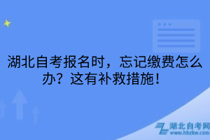 湖北自考报名时，忘记缴费怎么办？这有补救措施！