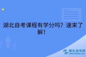 湖北自考课程有学分吗？速来了解！