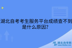 湖北自考考生服务平台成绩查不到是什么原因？