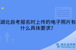 湖北自考报名时上传的电子照片有什么具体要求？