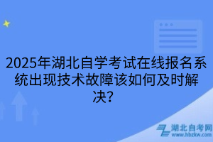 2025年湖北自学考试在线报名系统出现技术故障该如何及时解决？