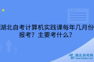 湖北自考计算机实践课每年几月份报考?主要考什么?