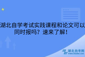 湖北自学考试实践课程和论文可以同时报吗?速来了解!