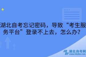 湖北自考忘记密码，导致“考生服务平台”登录不上去，怎么办？