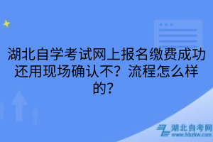 湖北自学考试网上报名缴费