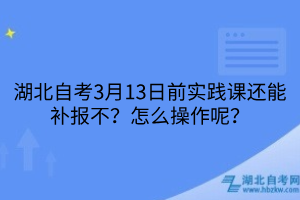 湖北自考3月13日前实践课还能补报不