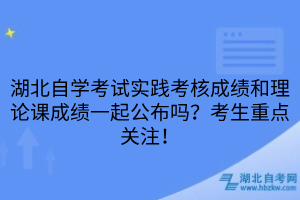 湖北自学考试实践考核成绩