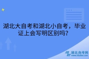 湖北大自考和湖北小自考区别