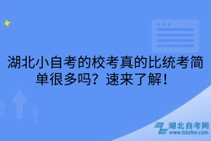 湖北小自考的校考比统考简单吗