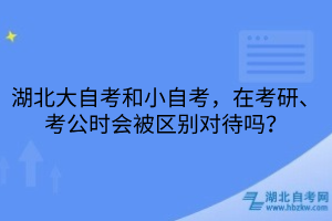 湖北大自考和小自考区别