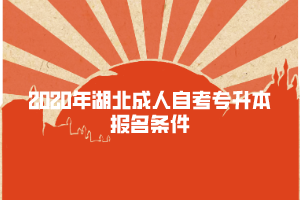 2020年湖北成人自考专升本报名条件