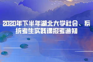 2020年下半年湖北大学社会、系统考生实践课报考通知