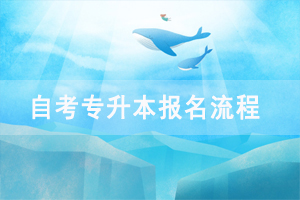 湖北自考专升本行政管理专业报名流程 湖北自考专升本行政管理专业报名流程
