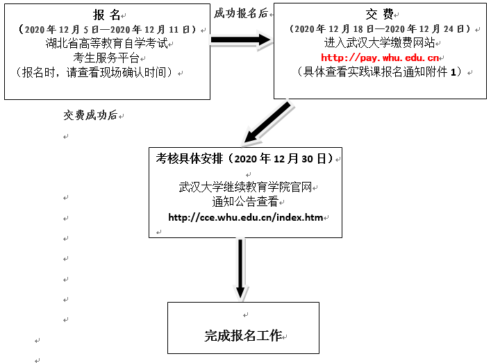 武汉大学自考专业实践考核流程