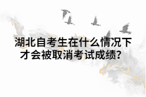 湖北自考生在什么情况下才会被取消考试成绩? 湖北自考生在什么情况下才会被取消考试成绩?