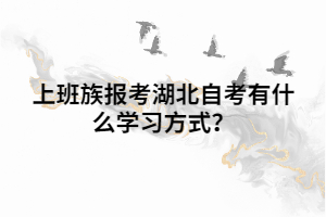 上班族报考湖北自考有什么学习方式? 上班族报考湖北自考有什么学习方式?