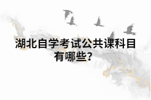 湖北自学考试公共课科目有哪些? 湖北自学考试公共课科目有哪些?