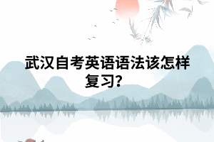 武汉自考英语语法该怎样复习? 武汉自考英语语法该怎样复习?