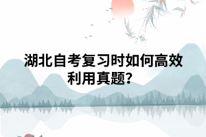 湖北自考复习时如何高效利用真题？