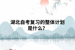 湖北自考复习的整体计划是什么？