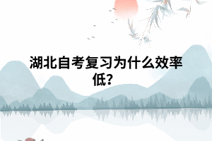 湖北自考复习为什么效率低? 湖北自考复习为什么效率低?