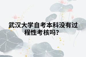 武汉大学自考本科没有过程性考核吗