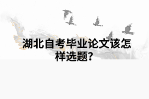 湖北自考毕业论文该怎样选题？