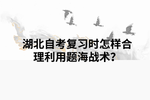 湖北自考复习时怎样合理利用题海战术？