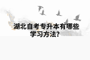 湖北自考专升本有哪些学习方法？