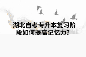 湖北自考专升本复习阶段如何提高记忆力？