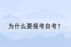 为什么要报考自考作为第二学历？