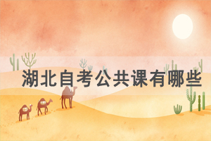 武汉理工大学自考公共课有哪些,专业课和选考课难度怎样? 武汉理工大学自考公共课有哪些,专业课和选考课难度怎样?