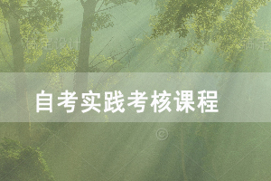 2021年湖北自考计算机信息管理专业面向社会开考的实践考核课程是什么？