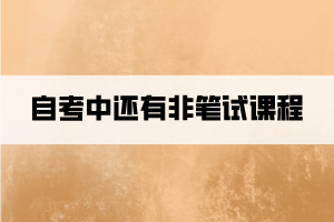 自考中还有非笔试课程，有哪些非笔试课程？