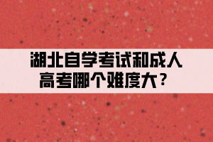 湖北自学考试和成人高考哪个难度大？