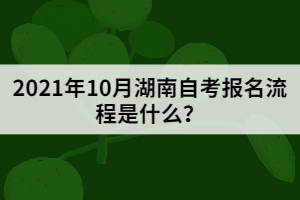 2021年10月湖南自考报名流程是什么？